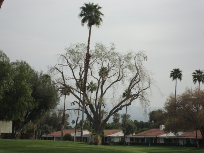 spring break 2011 176